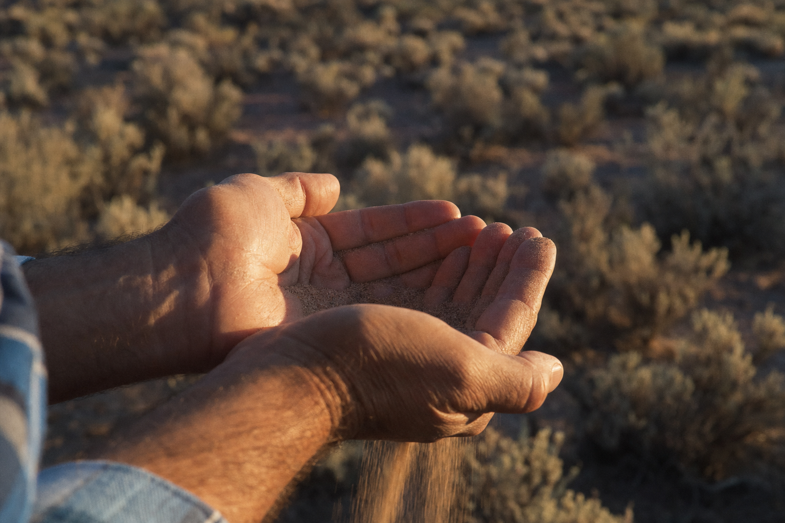 Cupped hands holding desert sand in warm sunlight