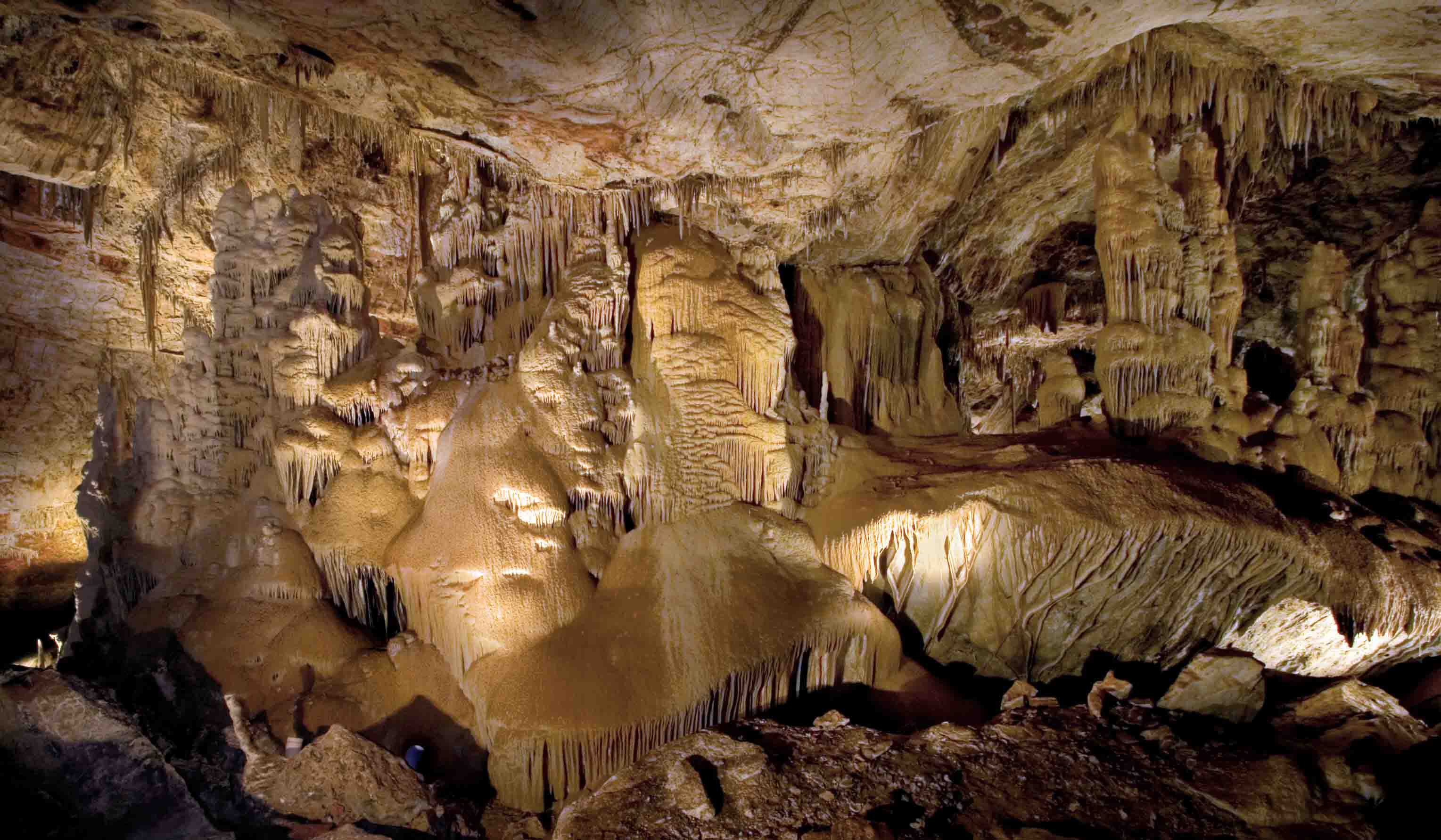Stargazing at Kartchner Caverns, International Dark Sky Park · Benson, AZ