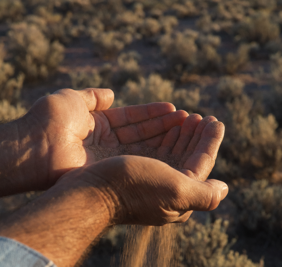 Cupped hands holding desert sand in warm sunlight